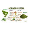 Moringa Líquida Bebida Sheló Nabel Rico Vitamina 2 Pz S605-2
