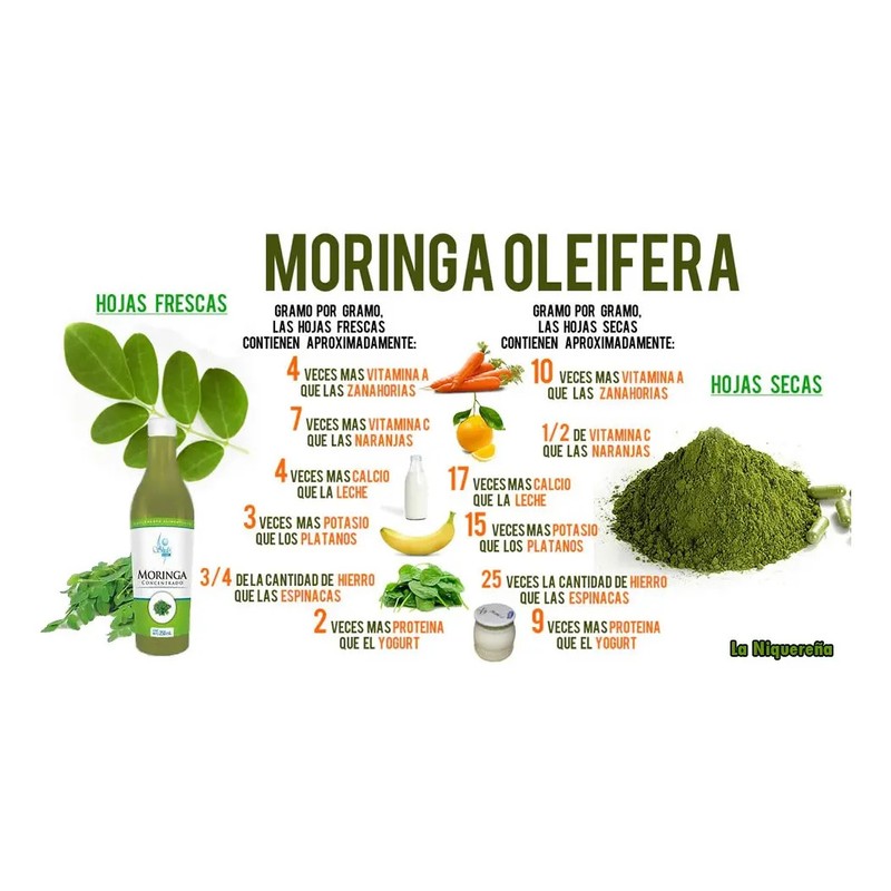 Moringa Líquida Bebida Sheló Nabel Rico Vitamina 2 Pz S605-2