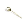 Cutipol Moon Mat Champagne Gold MO11CHF Coffee/Tea Spoon