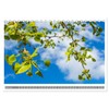 Mit Ginkgo biloba durch das Jahr (Tischkalender 2026 DIN A5