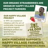 Happy Village Organic Whole Dried Strawberries, 18 OZ Resealable Pack-