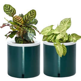 D'vine Dev 6 Inch Design Self Watering Planter for Indoor Plants, White Terracotta Pots with Teal Cylinder Glass Cup, Set of 2, 376-B-2