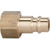 Schlauchnippel / NW 7.2-NW, 7.8 Untreated Brass Internal Thread 1