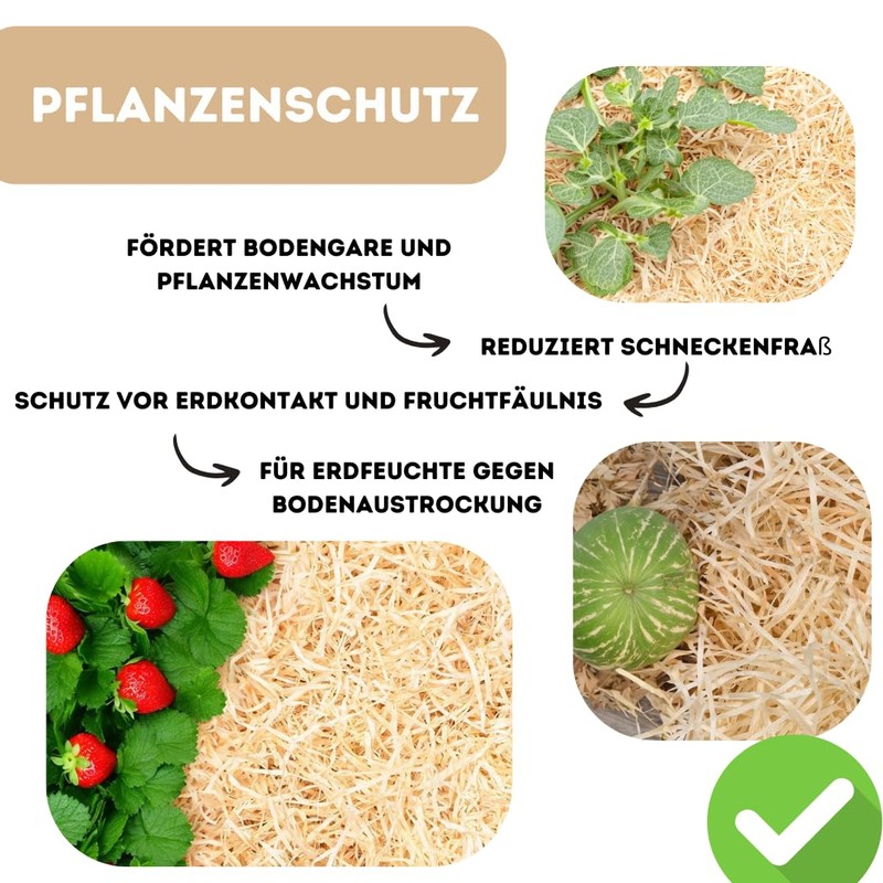 20 kg (kg) wood wool, natural, strawberry wool, made in