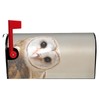 Oplp Cute Owl Waterproof Mail Cover Magnetic Mailbox Wraps Funny