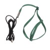 Bird Harness Leash Adjustable Elastic Flying Training Parrot Traction Rope