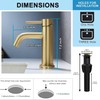 Brushed Silver Bathroom Faucet, Single Handle Modern Bathroom Sink RV