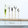 SABRE PARIS - 5-Piece Flatware Set - Bistrot Collection -