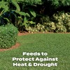 Scotts Turf Builder Southern Lawn FoodFL, Fertilizer for Any Grass