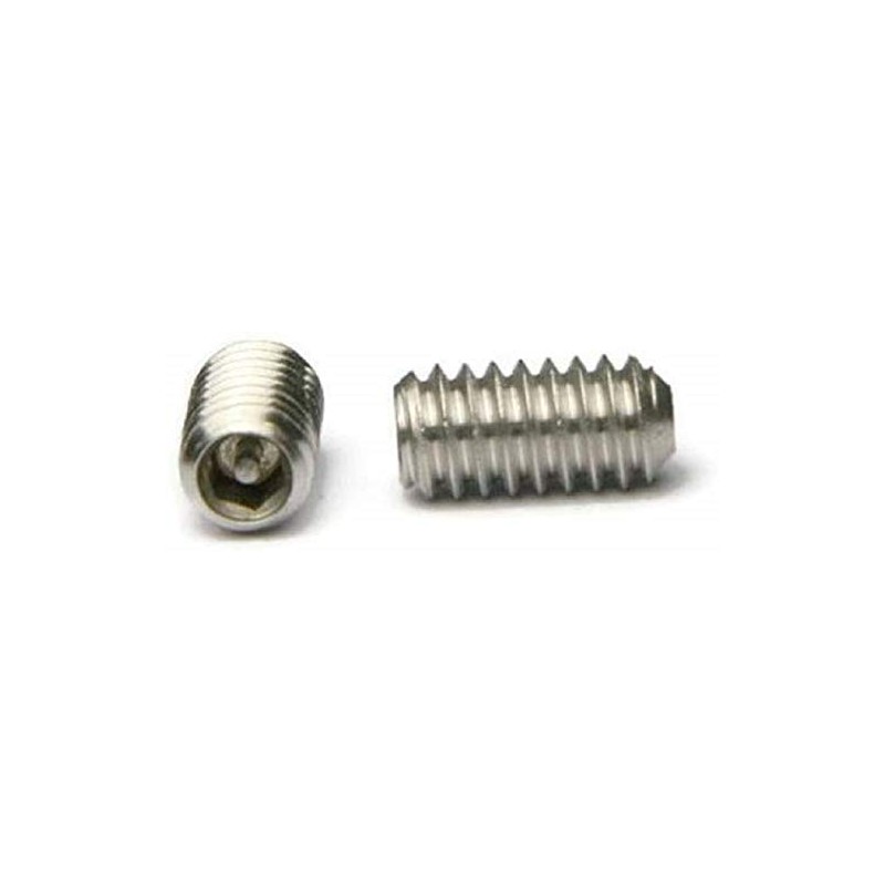 Tamper Proof Socket Set Screws #10-24 Stainless Steel Security Screws