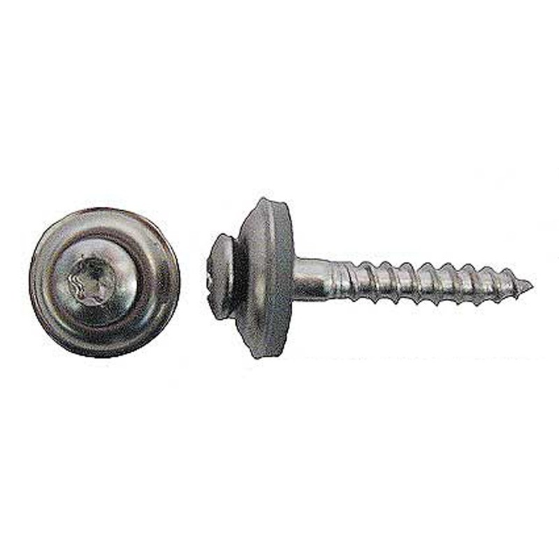 TX20 A2 Stainless Steel Plunger Screws 4.5 x 30 mm