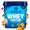 Bodylab24 Whey Protein Powder, Fruit Mix, 1 kg