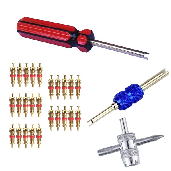 FEBRYTOLD Febrytold 3 Pcs Tire Valve Core Remover Tools with