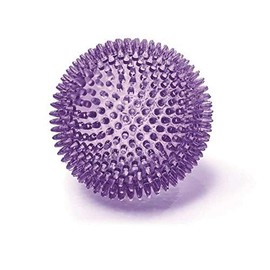 Kazoo KZ13899 Space Ball Dog Toy, Large, Green/purle