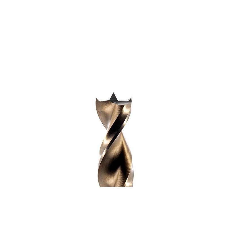 FAMAG Wood twist drill bit HSS-G