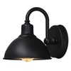Naurham Barn Light Gooseneck Light- Small Farmhouse Outdoor Lighting, 1-Light