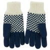 Fancy Snowflake Design Gloves - Blue OSFM
