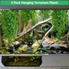Hamiledyi 4 Pack Reptile Vines Plants, 31.5 inches Hanging Terrarium