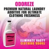 ODOREZE Natural Clothing Smell Removal Laundry Additive: 32 oz makes