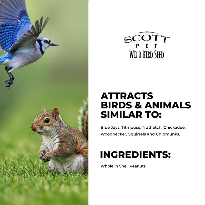 Scott Pet Wild Bird Seed, Whole Peanuts, 4 lbs Bag,