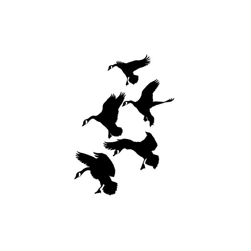 Goose Trailer Decal 24 – Goose Hunting Trailer Decal –