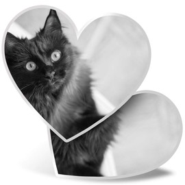 2 x Heart Stickers 7.5 cm - BW - Fluffy Black Cat Kitten Pet Fun Decals for Laptops,Tablets,Luggage,Scrap Booking,Fridges, #43907