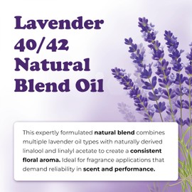 Lavender 40/42 Natural Blend Oil France – Premium Grade Pure Lavender Oil for Cosmetics, Perfumes, Room Sprays, Soap & Candle Making – 16 Fl Oz