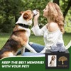 Black Wooden Pet Urn with Dog Statue and Cloth Ash