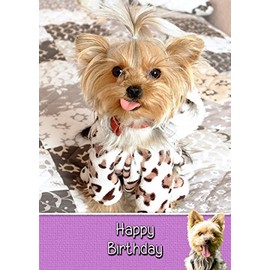 Yorkie/Yorkshire Terrier Birthday Card
