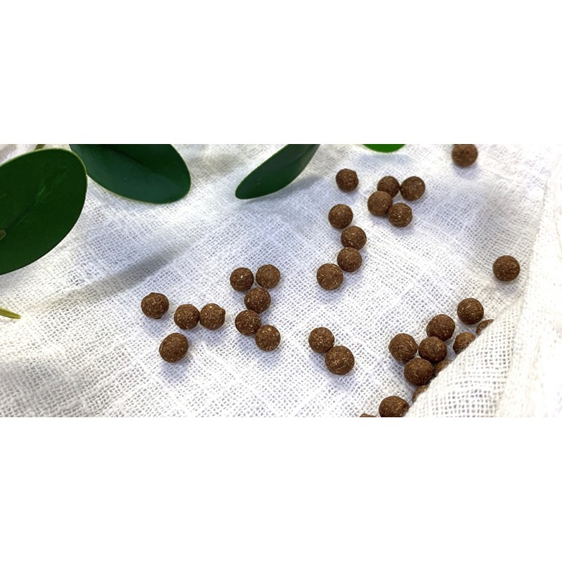 Donggwang General Products Sokcheonghwan 500g / 동광종합물산 속청환 500g