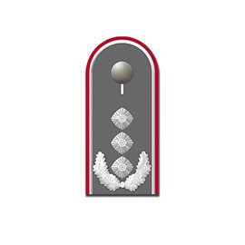 #A5431 Sticker Colonel Shoulder Flap German Army Rank Sticker 10 x 4 cm