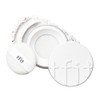 TFIT [TFIT]*new* Translucent Set Finishing Powder (5 colors)