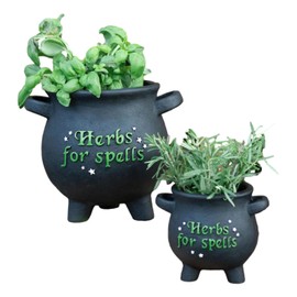 Ebros Gift Wicca Occult Green Thumb Gardening Black Sacred Witchcraft Herbs for Spells with Star Dusts Cauldron Planter Pot Floral Container Magical Terracotta Home Accent (Pack of 2 Assorted Sizes)