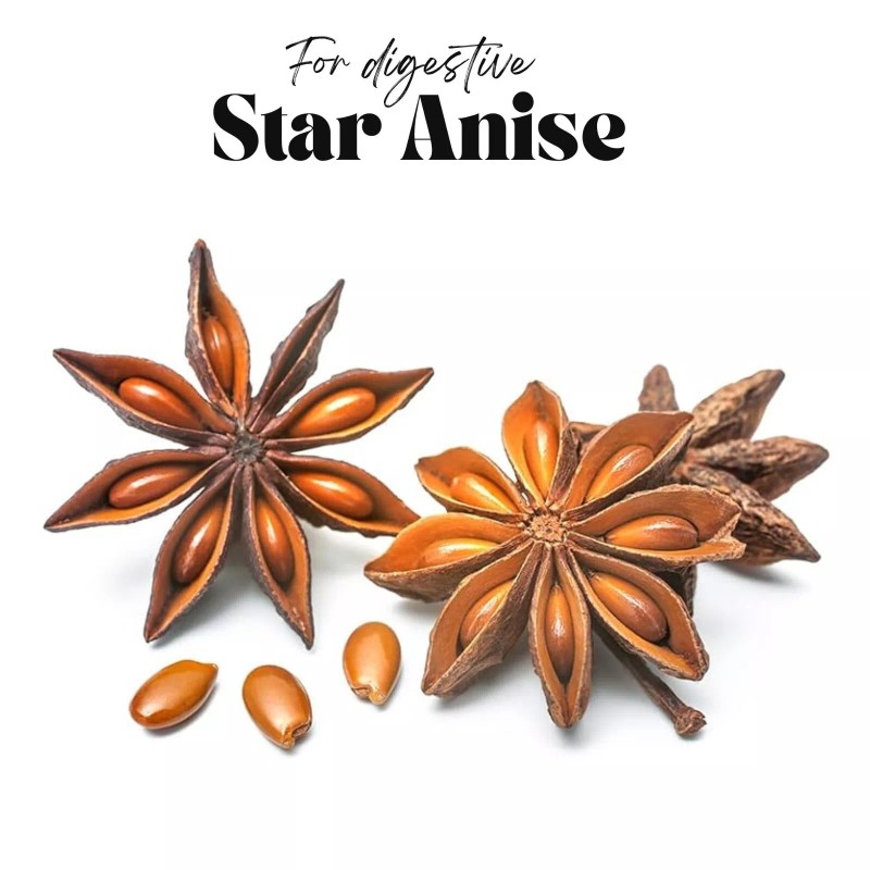 OLANTA TRADE SOLUTION CANDIDA PRO COMPLEX Ultimate Solution for Digestive