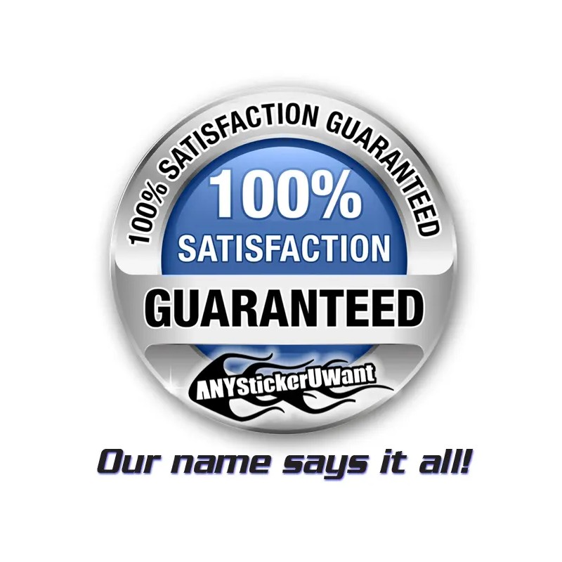 ANYStickerYouWant x2 Side Skirt Stripe Kit Vinyl Decal Fits Nissan