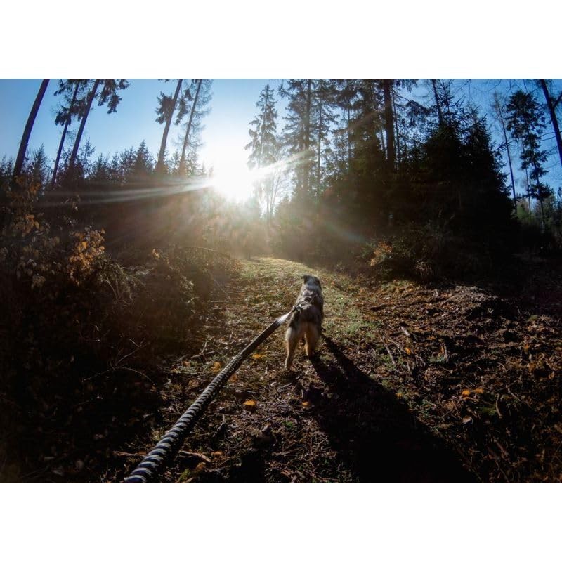 Non-stop dogwear Bungee Touring Leash, 2.m/ Width 2.3 cm