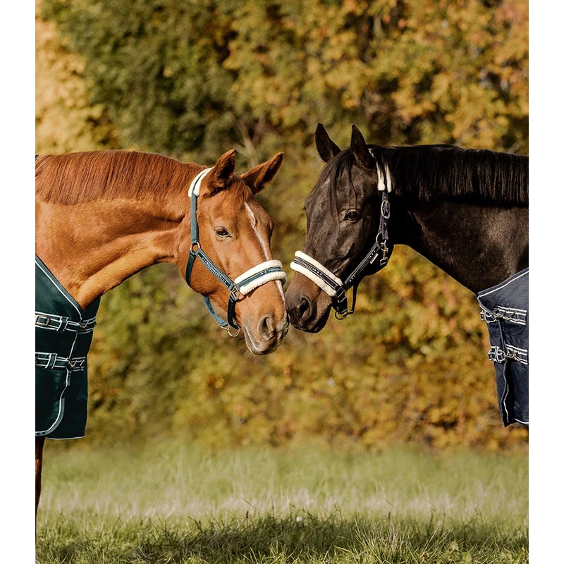 Waldhausen XWB Elegant Headcollar Fir Green