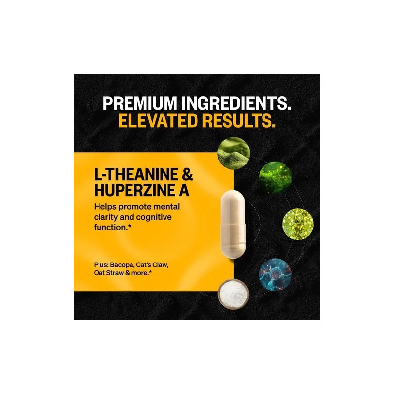 Alpha Brain 30 Capsulas Suplemento Memoria Onnit Hecho Usa