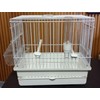 I064B All White Song Bird CAGE