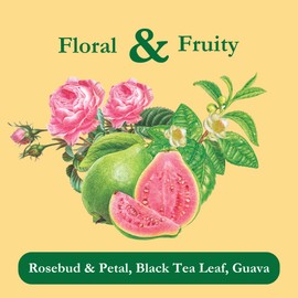 Tadin Guava Rose Tea, Contains Caffeine, Best Hot or Iced, 24 Tea Bags Per Box, Pack of 1