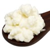 Milk Kefir Grains, Live Fresh, Kefir Cultures, 50 Billion Active