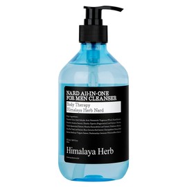 NAD All-in-One Men's Cleanser, 500ml, 1 pc / 나드 올인원 남성청결제, 500ml, 1개