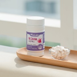 Vitalabs 비타랩스 마그네슘 420 맥스 눈떨림 임산부 영양제 B1 B6 1200mg X 90정 2통 Vita Labs Magnesium 420 Max Eye Twitching Supplement for Pregnant Women B1 B6 1200mg X 90 Tablets 2 Bottles
