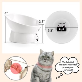 Yedio Porcelain Raised Cat Bowl, Tilted Cat Food Bowl with Anti Slip Band, Stress Free, Elevated Porcelain Pet Bowl Protect Pet's Spine, Backflow Prevention, Dishwasher Safe, White