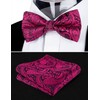 Alizeal Mens Classic Paisley Pre-tied Party Adjustable Bow Tie, Cummerbund