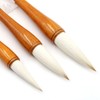 CENPEK Chinese Calligraphy Brush Set Writing Drawing 3 Pieces Japanese
