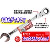 SK11 (SK11) Gear Tech Flex Ratchet Wrench Swivel Type 21mm
