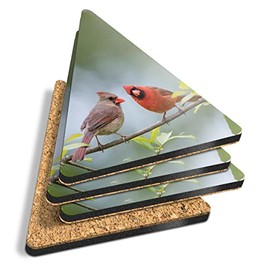 4 x Triangle Coasters - Northern Cardinal Birds Bird Cork Backed MDF Glossy Tea Coffee Accessory #3521