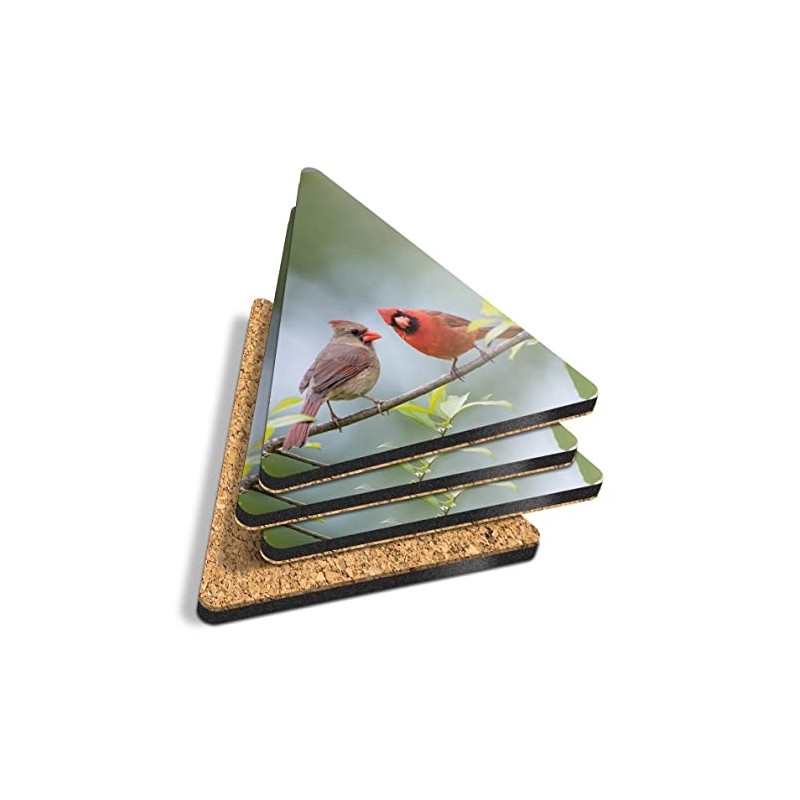 4 x Triangle Coasters - Northern Cardinal Birds Bird Cork