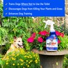 Nature’s MACE Dog Repellent 1 Gallon Concentrate/Treats 48,000 Sq. Ft.
